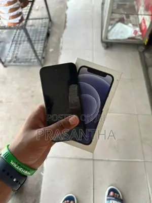 Apple iPhone 12 mini (Used)