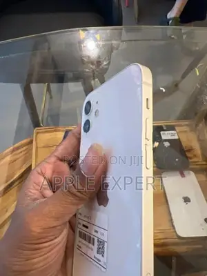 Apple iPhone 12 (Used)