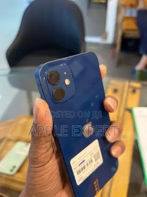 Apple iPhone 12 (Used)