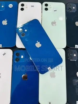 Apple iPhone 12 256GB (Used)