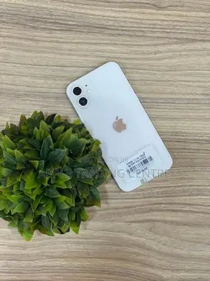 Apple iPhone 12 128GB (Used)