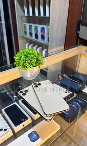 Apple iPhone 11 Pro 256GB (Used)