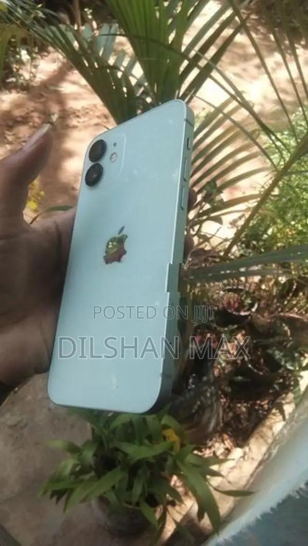 Apple iPhone 12 256GB (Used)