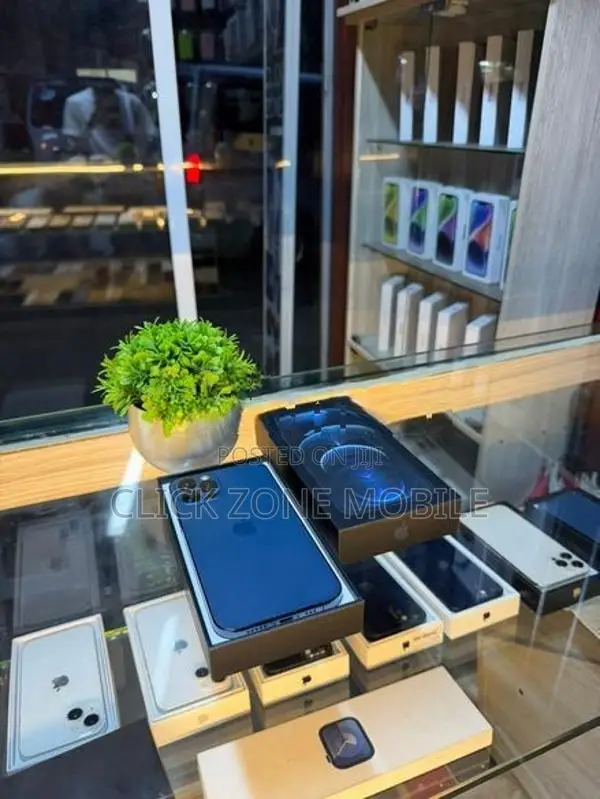 Apple iPhone 12 Pro 256GB (Used)