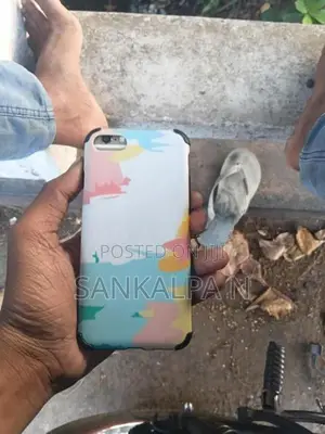 Apple iPhone 6 (Used)