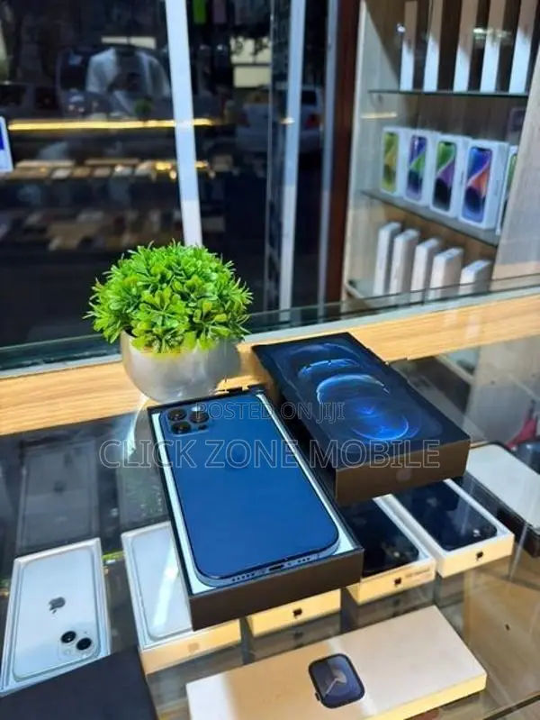Apple iPhone 12 Pro 256GB (Used)