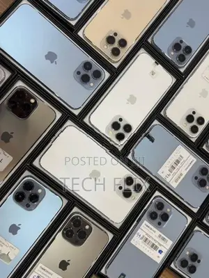 Apple iPhone 13 Pro 256GB (Used)