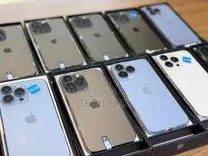 Apple iPhone 13 Pro Max 256GB (Used)