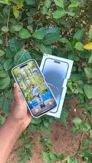 Apple iPhone 14 Pro Max 256GB (Used)