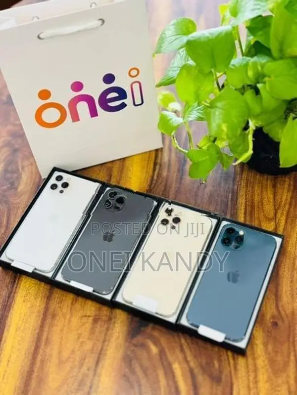 Apple iPhone 12 Pro 256GB (Used)