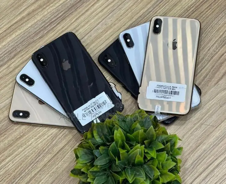 Apple iPhone XS 256GB (Used)