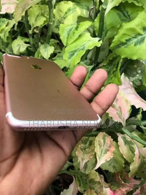 Apple iPhone 7 Plus 128GB (Used)