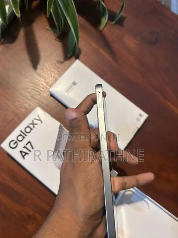 Samsung Galaxy A17 (Brand New)