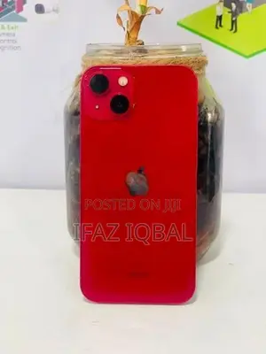 Apple iPhone 13 (Used)