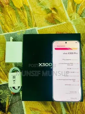 Vivo X300 Pro 16/512GB (Used)