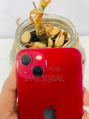 Apple iPhone 13 (Used)