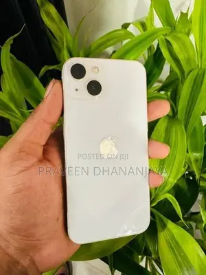 Apple iPhone 13 (Used)