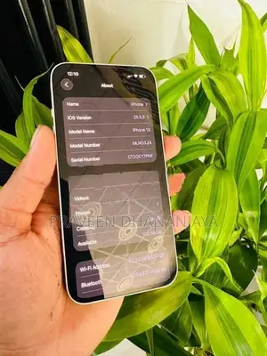 Apple iPhone 13 (Used)