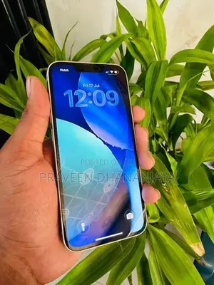Apple iPhone 13 (Used)