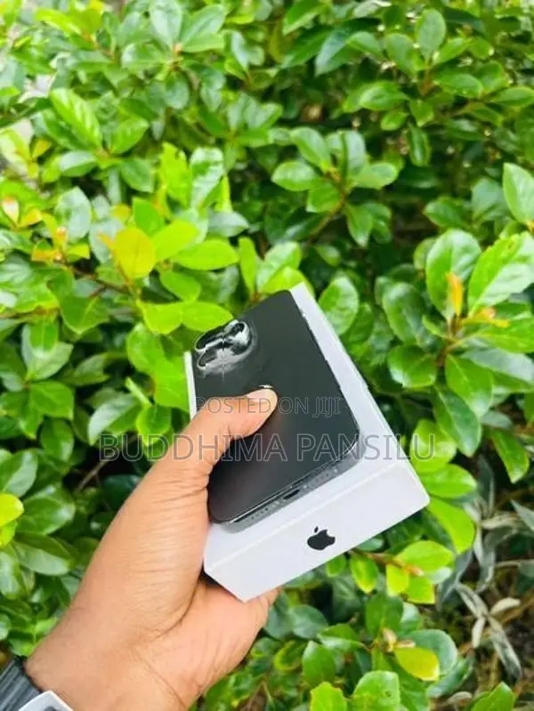 Apple iPhone 14 Pro (Used)