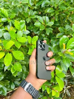 Apple iPhone 14 Pro (Used)