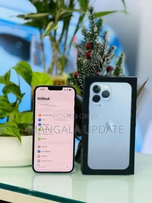 Apple iPhone 13 Pro Max (Used)