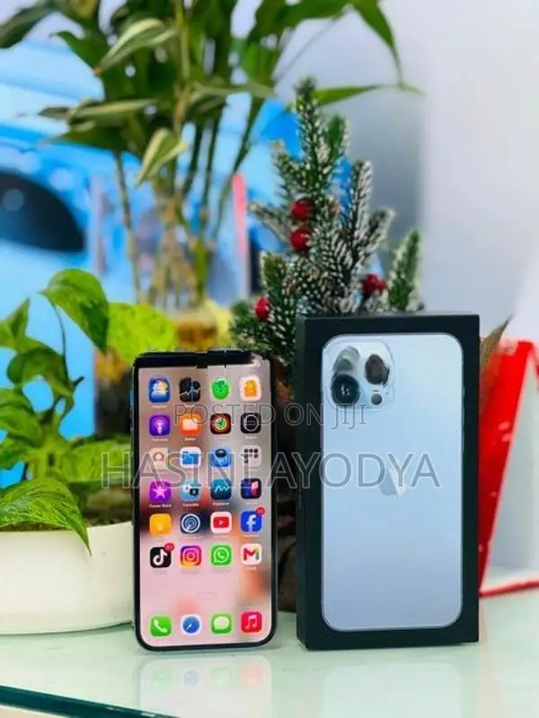 Apple iPhone 13 Pro 256GB (Used)