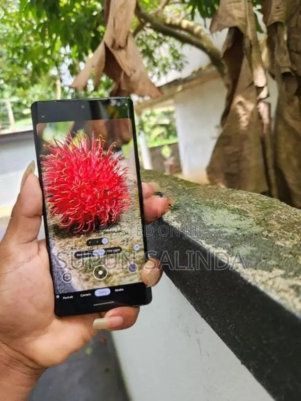 Google Pixel 6 Pro (Used)