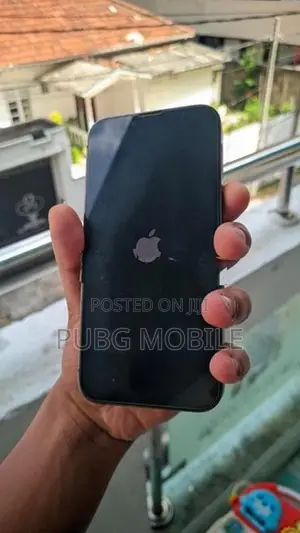 Apple iPhone 13 Pro 128GB (Used)