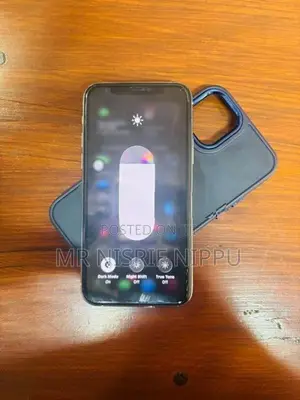 Apple iPhone 11 Pro (Used)