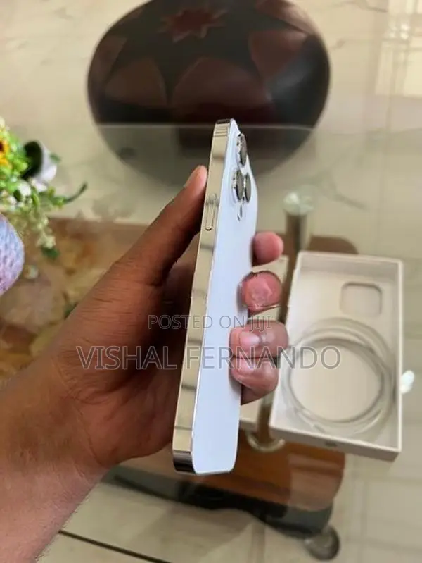 Apple iPhone 14 Pro Max Silver Edition (Used)