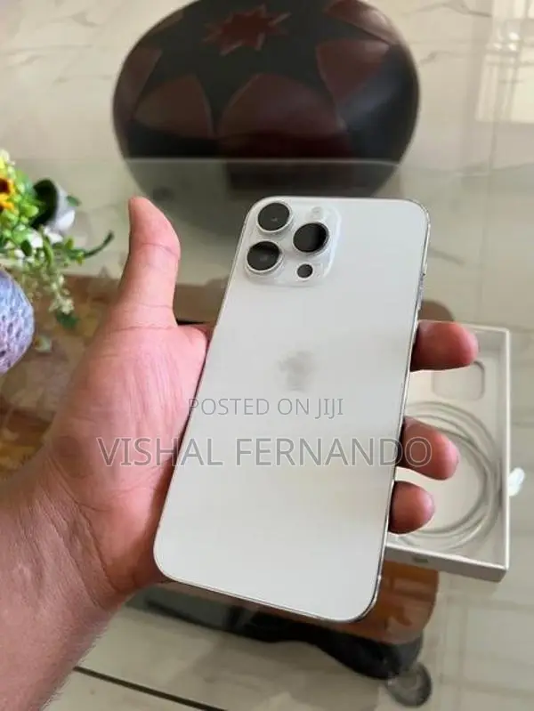 Apple iPhone 14 Pro Max Silver Edition (Used)