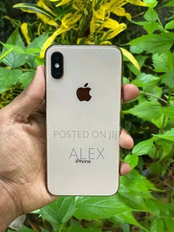 Apple iPhone XS 256gb (Used)