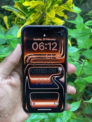 Apple iPhone XS 256gb (Used)