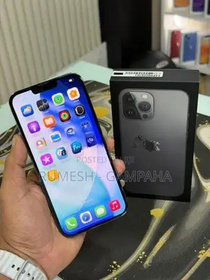 Apple iPhone 13 Pro Max 128GB (Used)