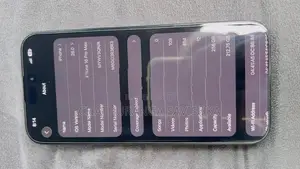 Apple iPhone 16 Pro Max (Used)