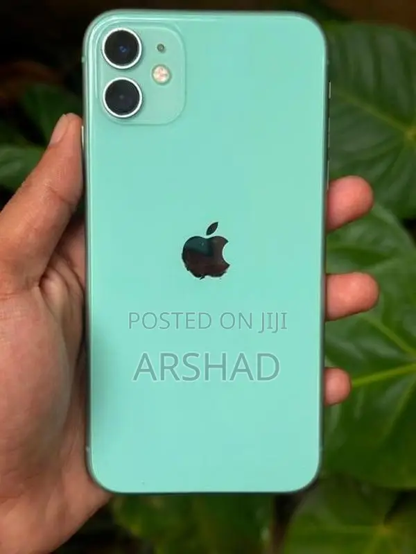 Apple iPhone 11 (Used)