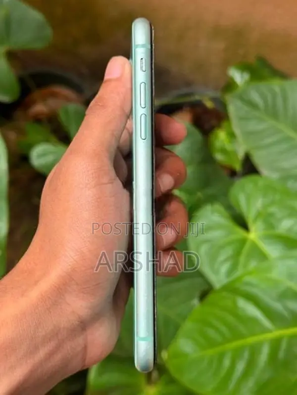 Apple iPhone 11 (Used)