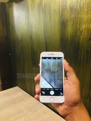Apple iPhone 7 (Used)