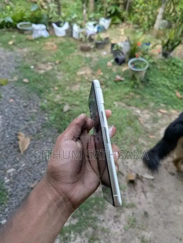 Google Pixel 7 (Used)