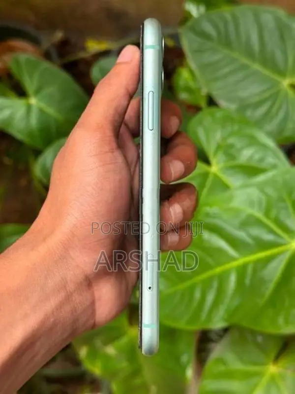 Apple iPhone 11 (Used)