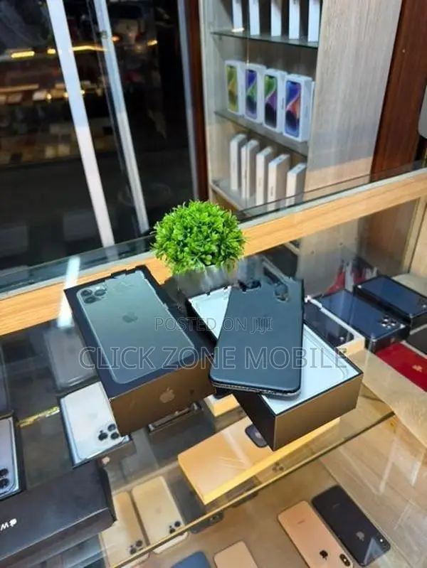 Apple iPhone 11 Pro Max 256GB (Used)