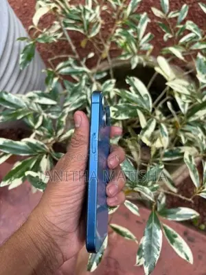 Apple iPhone 13 (Used)