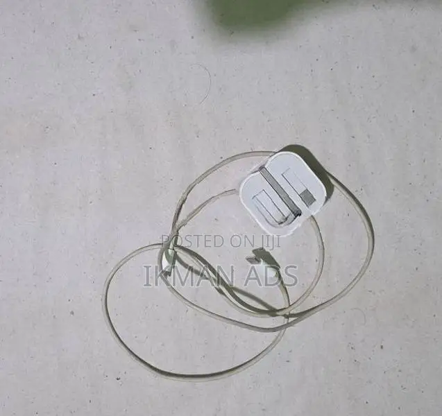 iPhone Charger