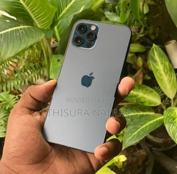Apple iPhone 12 Pro (Used)