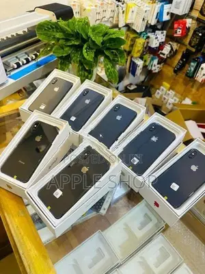 Apple iPhone X 256GB (Used)