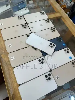 Apple iPhone 12 Pro 256GB (Used)