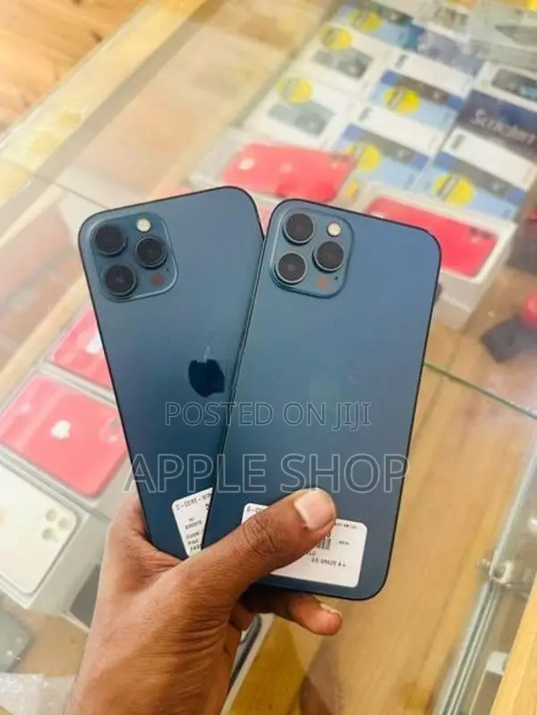 Apple iPhone 12 Pro Max 256GB (Used)