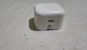 iPhone Charger