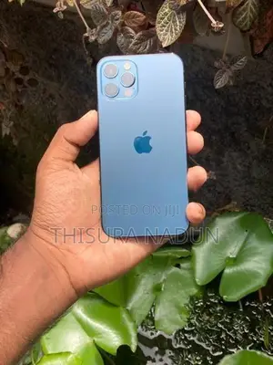 Apple iPhone 12 Pro (Used)